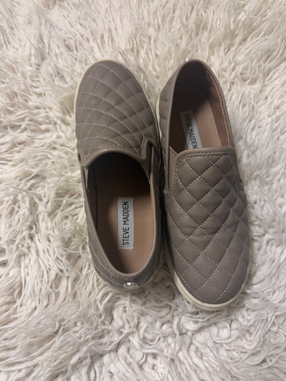 Steve madden ecentrcq